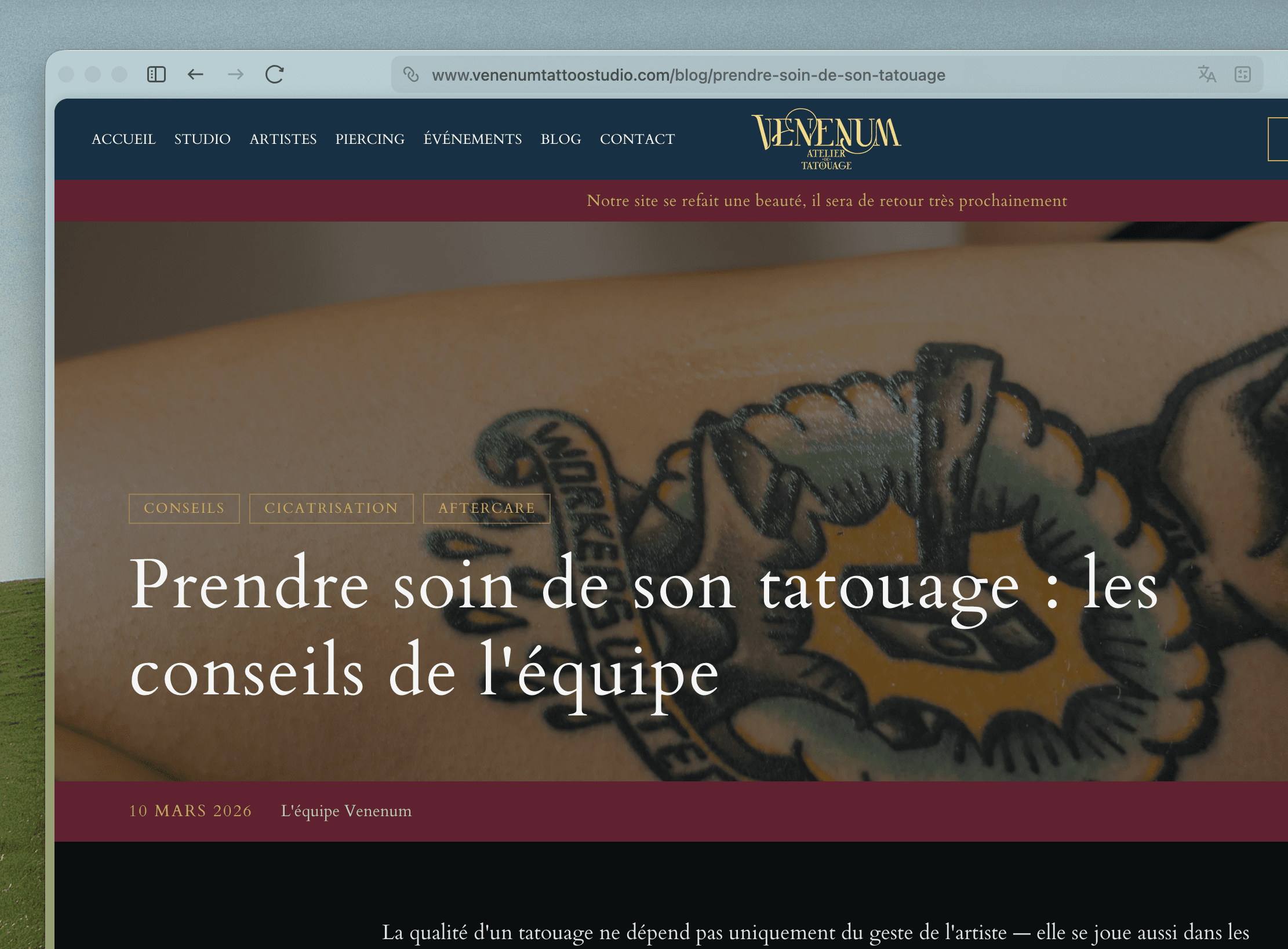 Venenum Tattoo Studio. — image 1